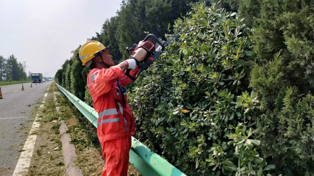 宿州中心養(yǎng)護(hù)工作人員對(duì)綠化帶進(jìn)行精心修剪。 (2).jpg