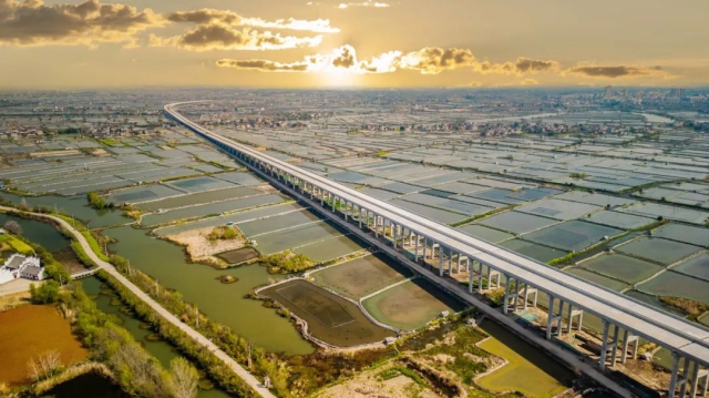 1745542941452969.jpg 01.jpg